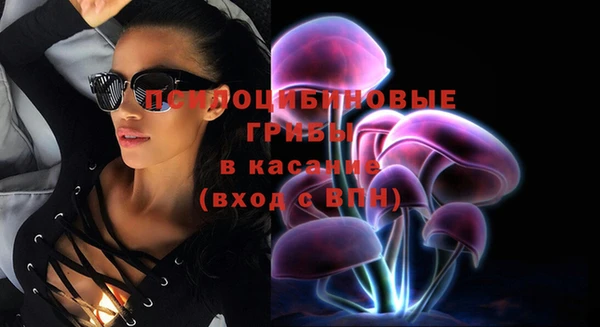 герыч Алексин