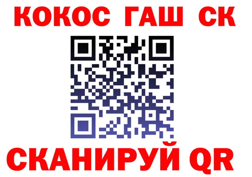 Альфа ПВП СК ТОР shop KRAKEN Темрюк