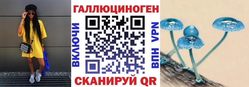 Галлюциногенные грибы Psilocybe  дарнет шоп  Темрюк 