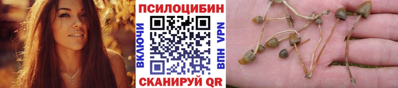 Галлюциногенные грибы мицелий Темрюк